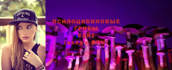индика Абдулино